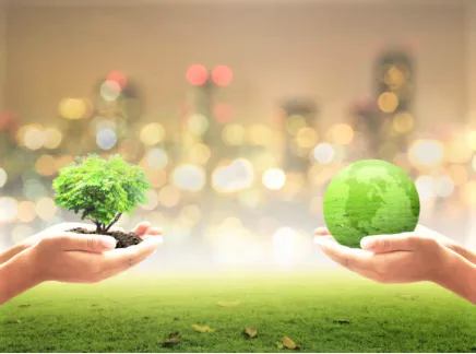 Ecosistema 4