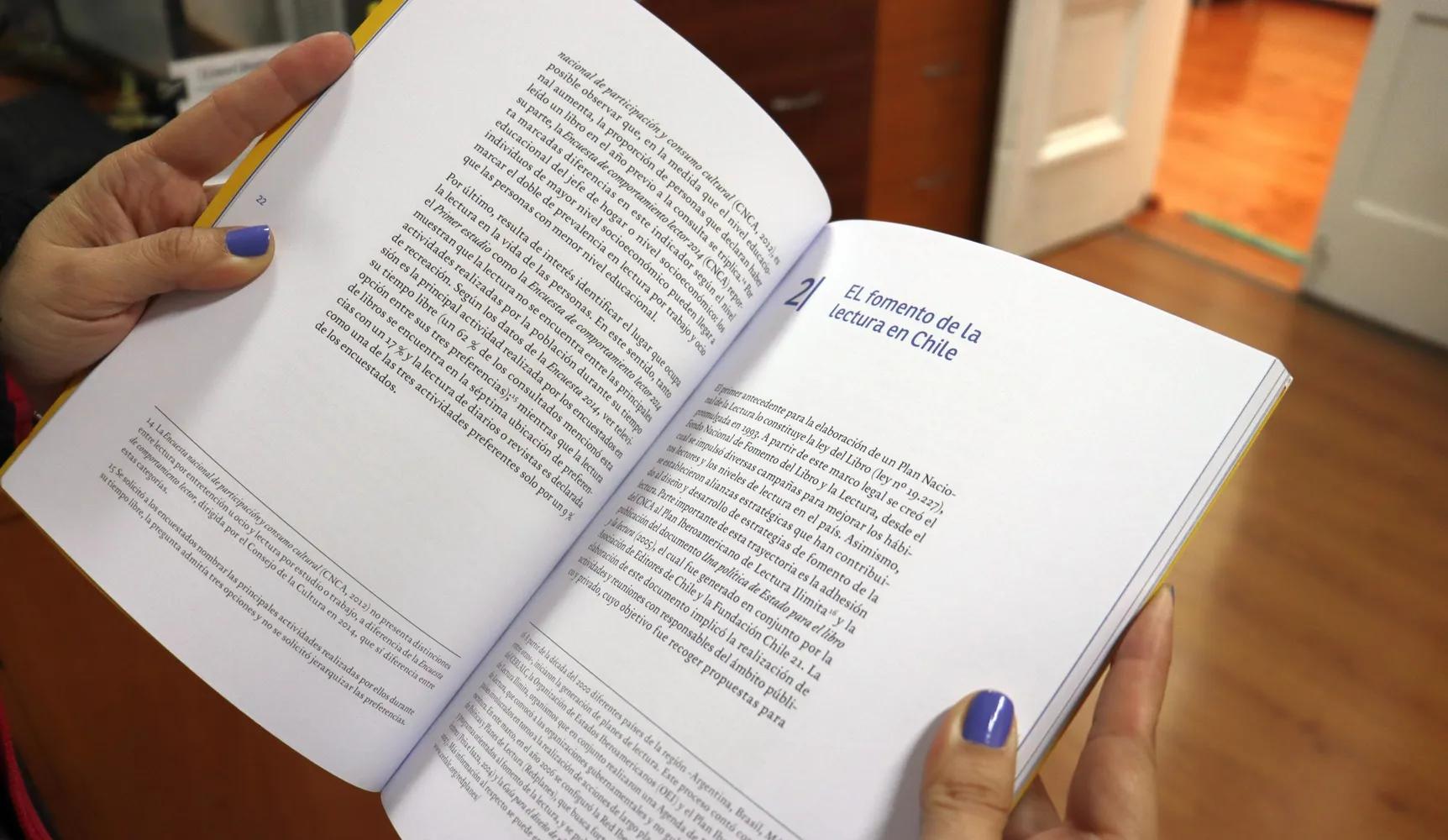 Plan de la lectura 2