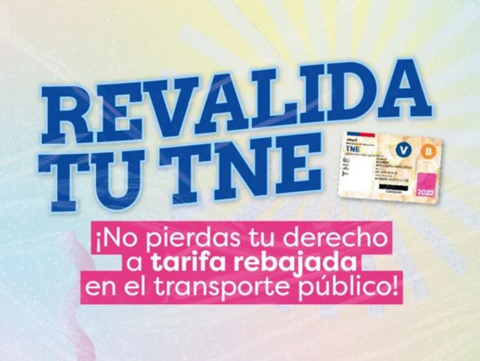 Mi imagen (6)