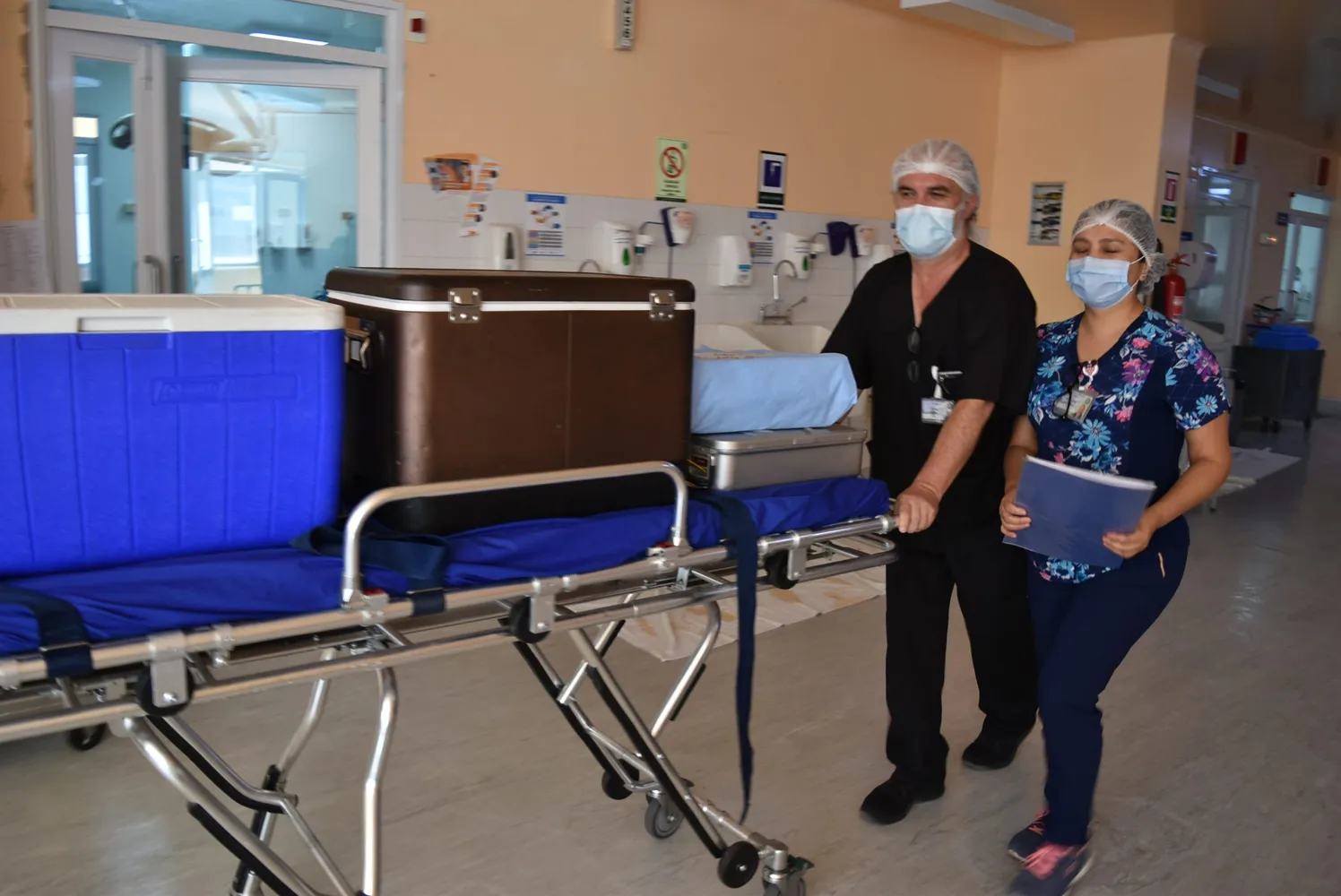 Procuramiento 2