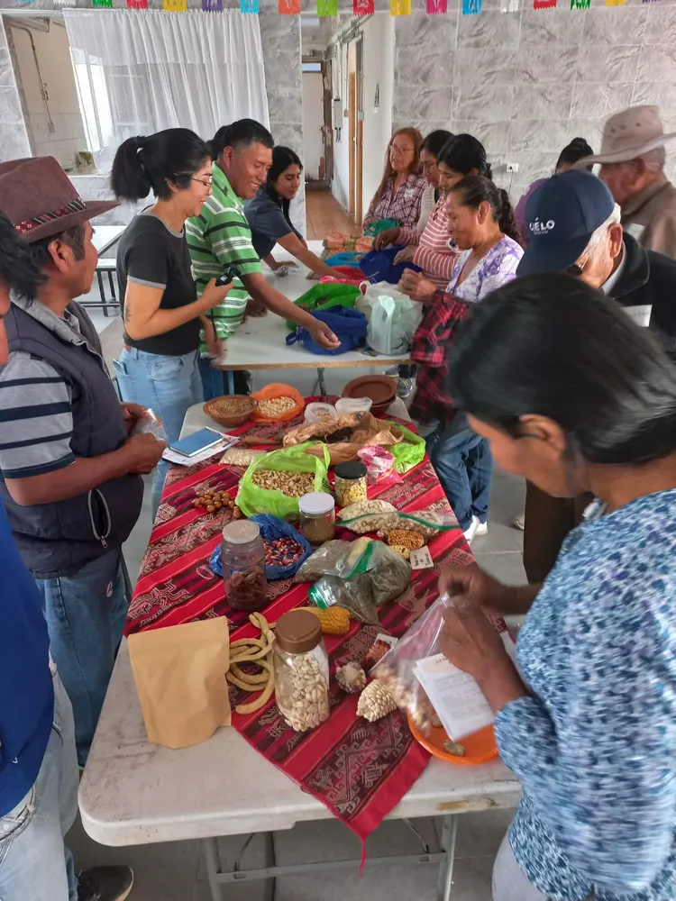 Agricultores y agricultoras participaron en intercambio de semillas