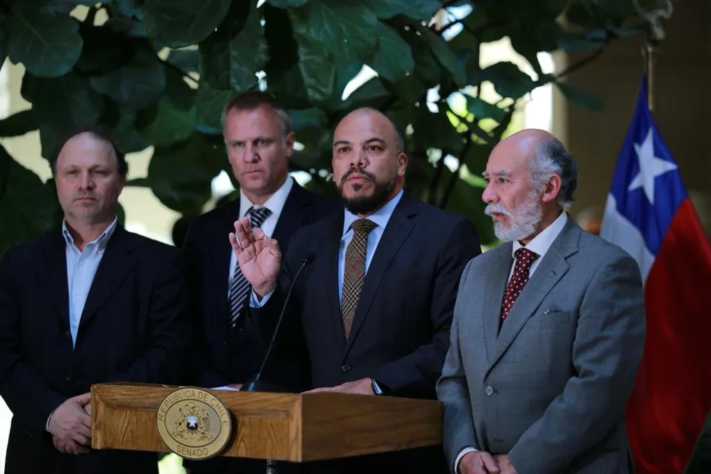Spd Senado Seguridad Privada