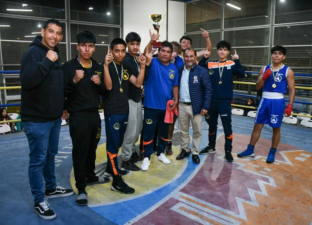 Boxanto2