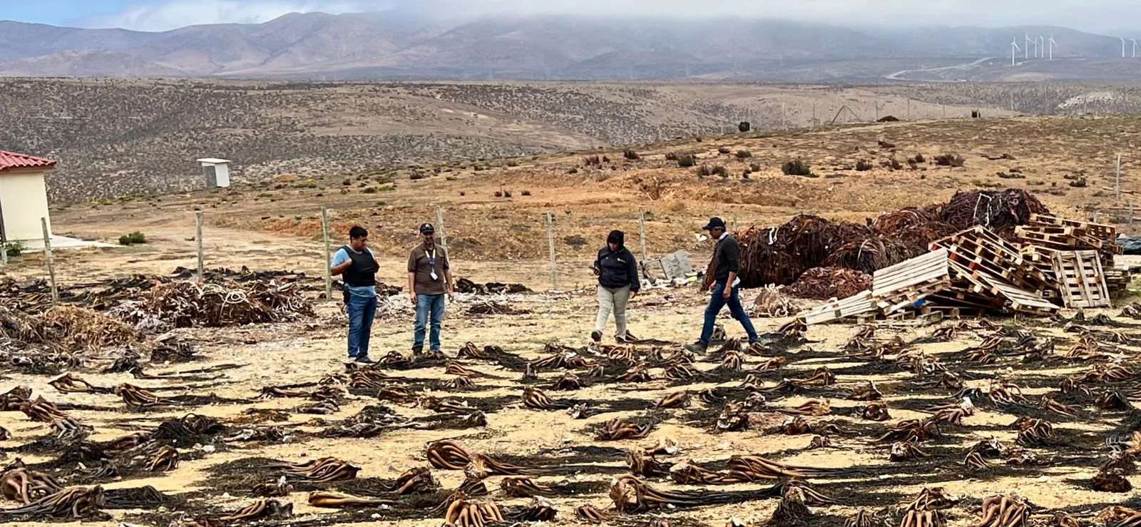 Fiscalizacion Algaspardas Ovalle1