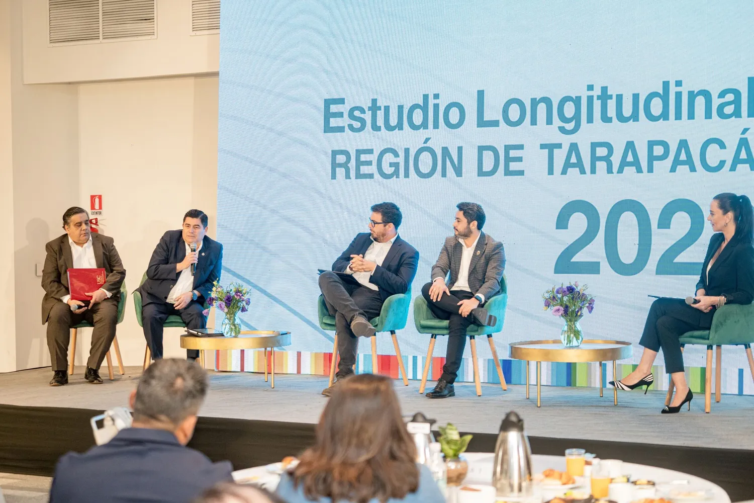 2do Estudio Longitudinal Tarapaca 3