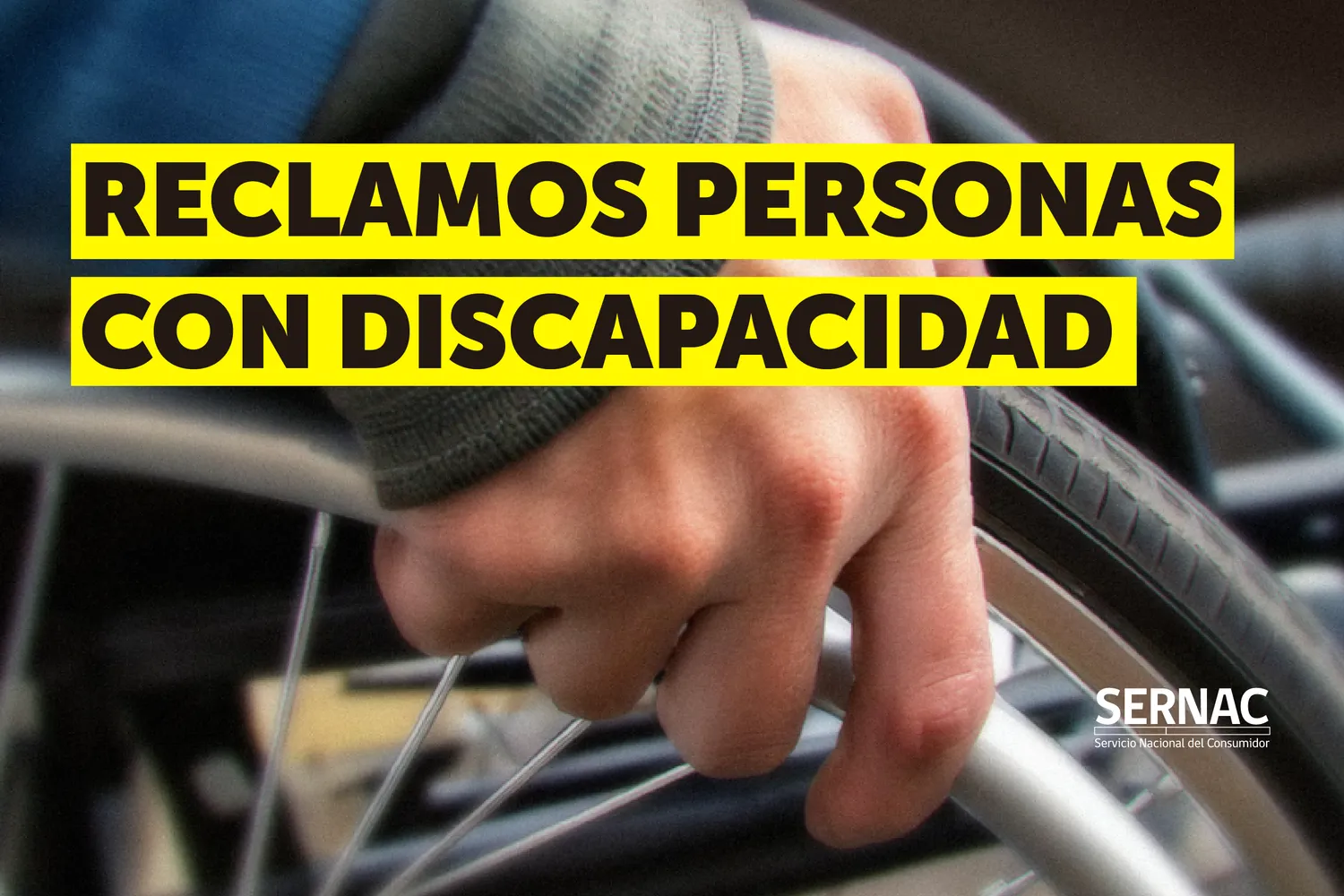 Discapacidad 01