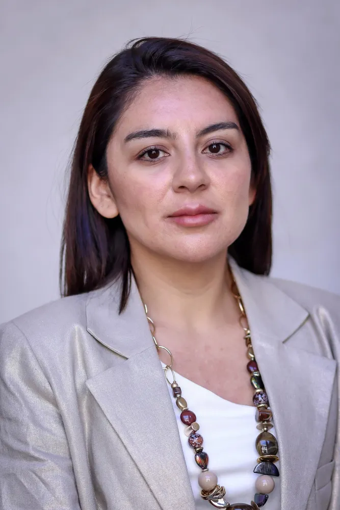 Delegada Presidencial