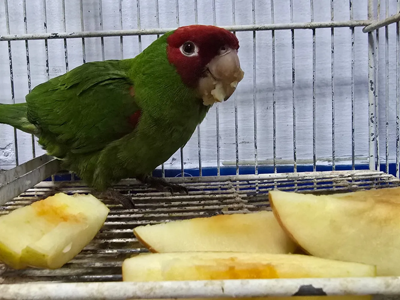 Img 20250226 Wa0013