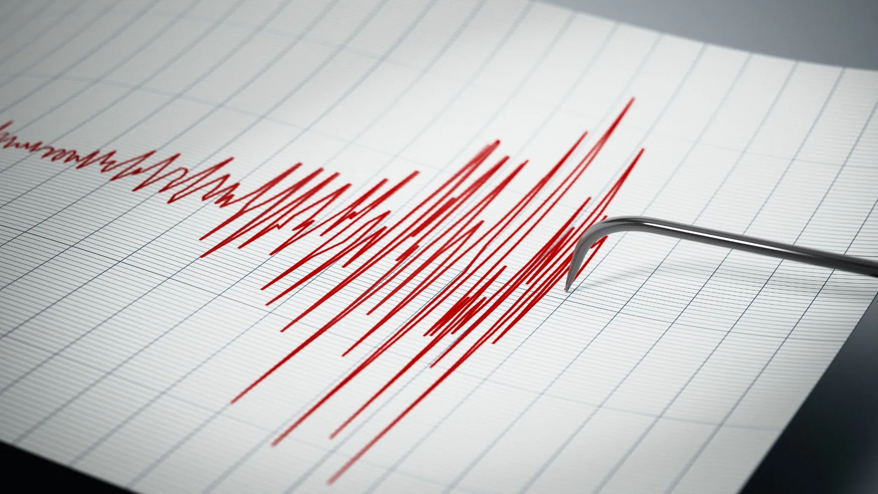 Terremoto Referencial
