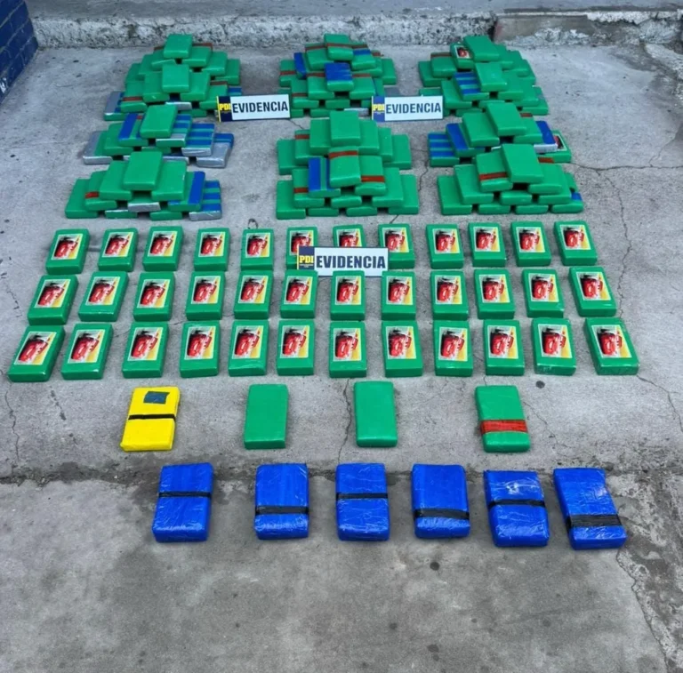 Img 20250616 Wa0042