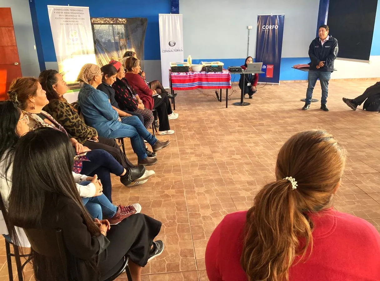 Taller Hidroponia Costera 3
