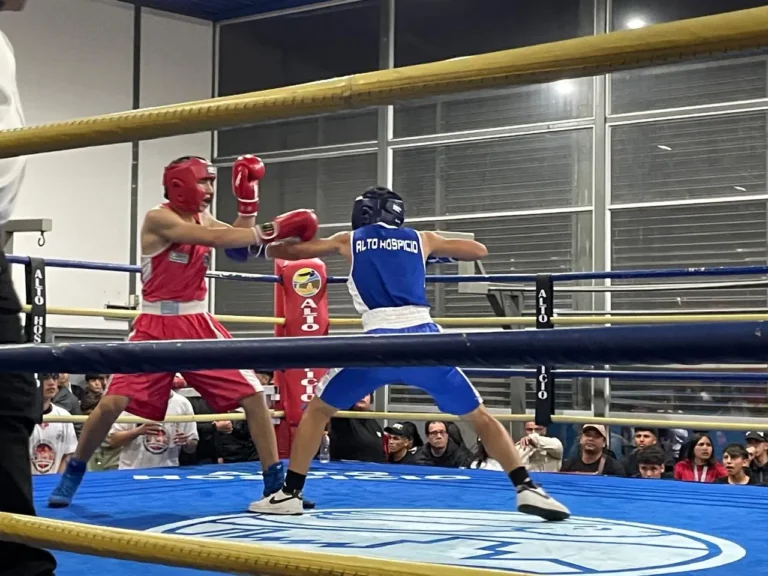 Boxete1