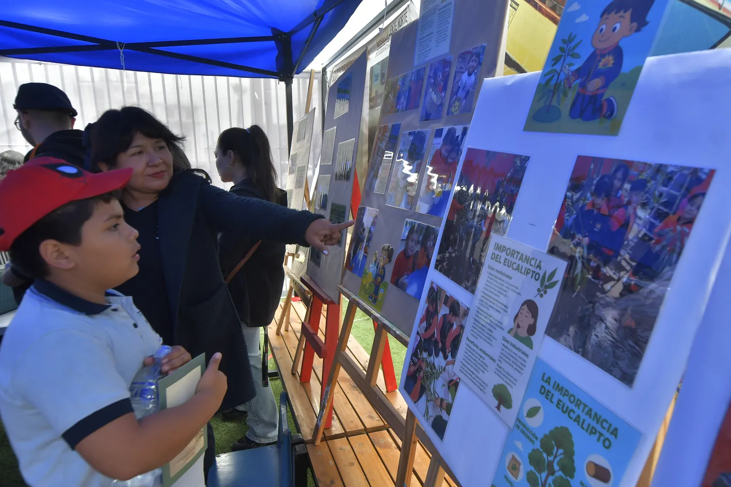 Feria medioambiental 2