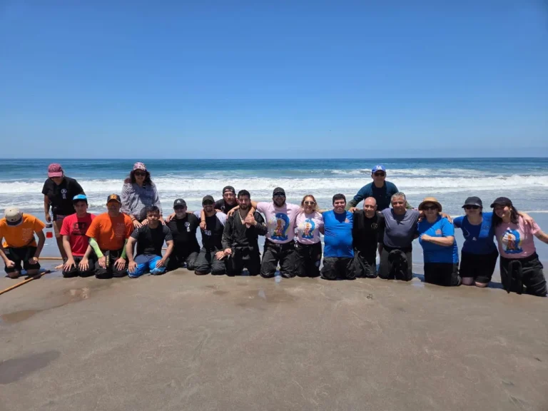 Taikai 6