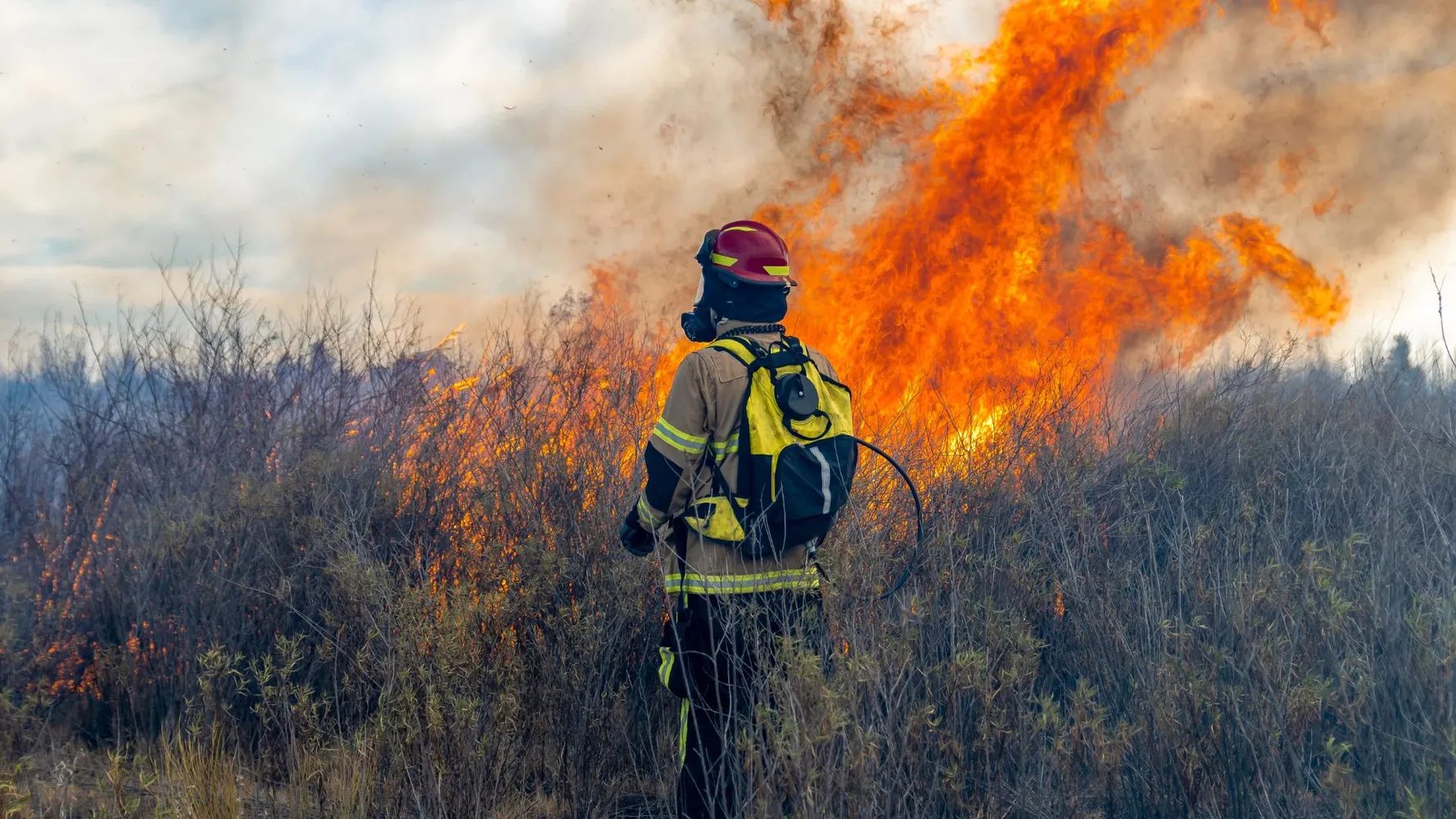 Incendio forestal referencial (1)
