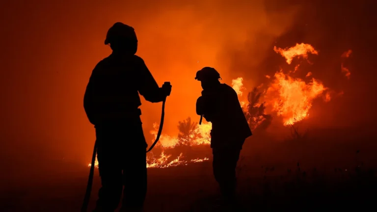 Incendio forestal referencial (2)