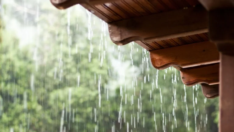 Lluvia referencial