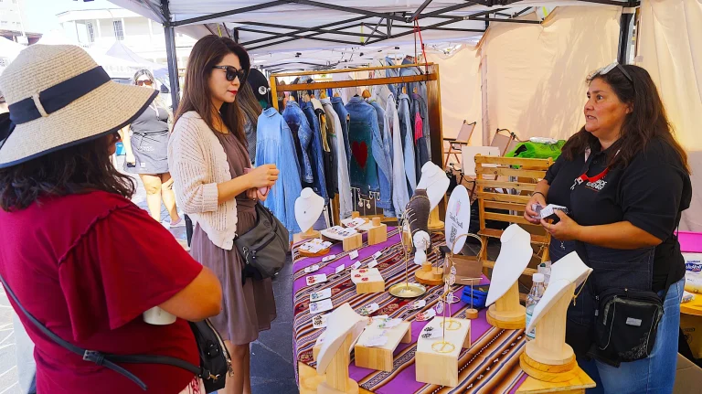 Sercotec Tarapacá impulsa la modernizaciónde artesanos y artesanas itinerantes en Iquique - CEI Noticias