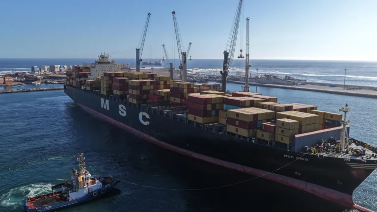Msc inés 2