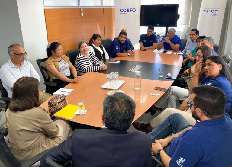 Seremi de economía 4