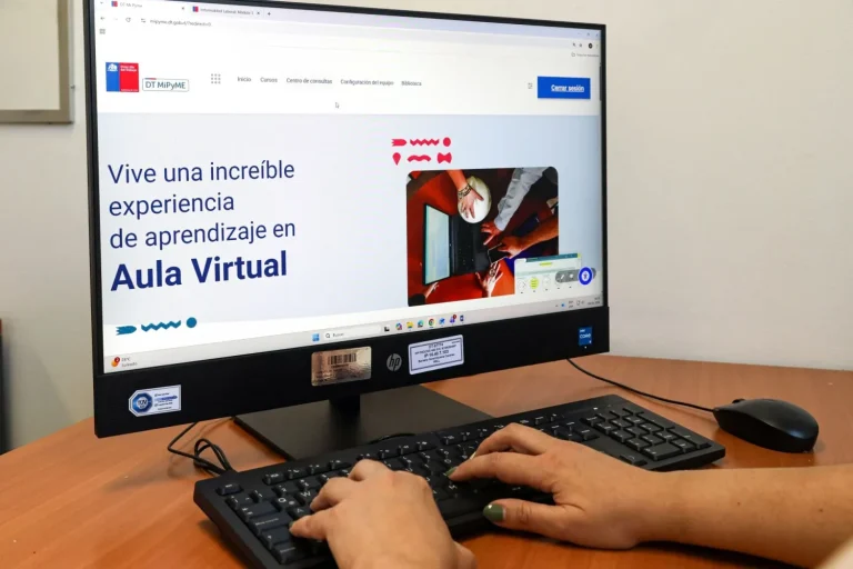 10.04.2026 aula virtual mipyme2