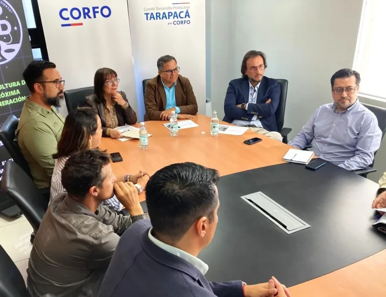 Encuentro desierto 4