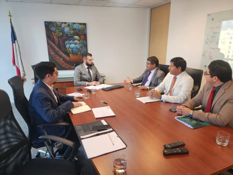 Reunión ministerio de energía (1)