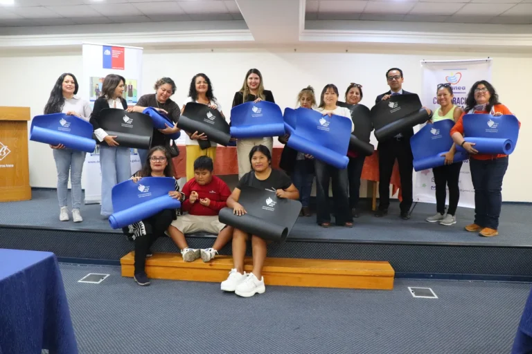 Entrega afanea (3)