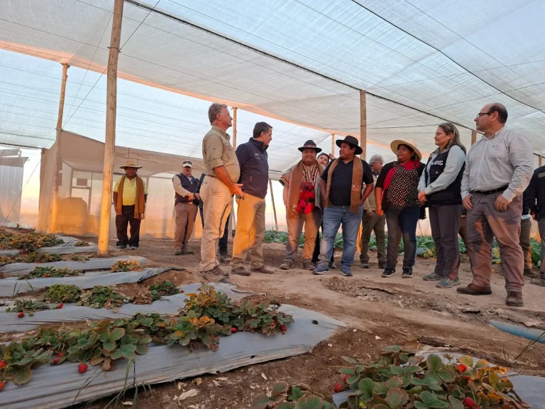 Entrega camión frigorífico eac huara 6.jfif