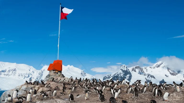 Investigan por primera vez cómo la contaminación lumínica y el calentamiento global afectan la Antártica<div> </div> - CEI Noticias