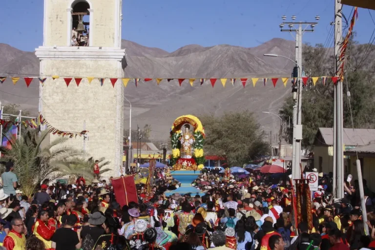 SEREMI de Salud realizará fumigaciones en Tarapacá previo a la Festividad de San Lorenzo del 3 al 7 de agosto del 2026 - CEI Noticias