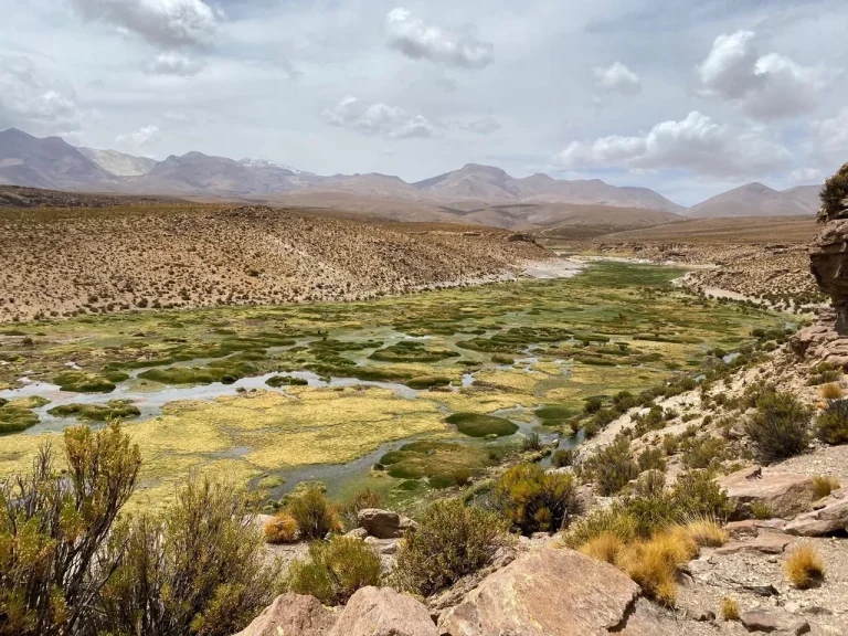 Estudio de investigador de la UNAP aporta evidencia científica sobre los efectos del manejo ancestral aymara en los bofedales - CEI Noticias