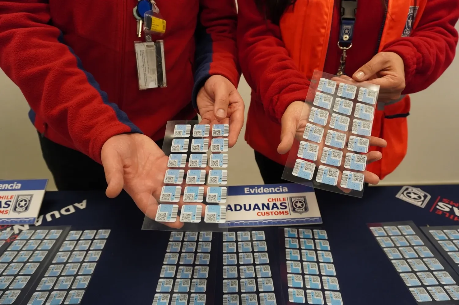 Aduana tintas falsas (1)