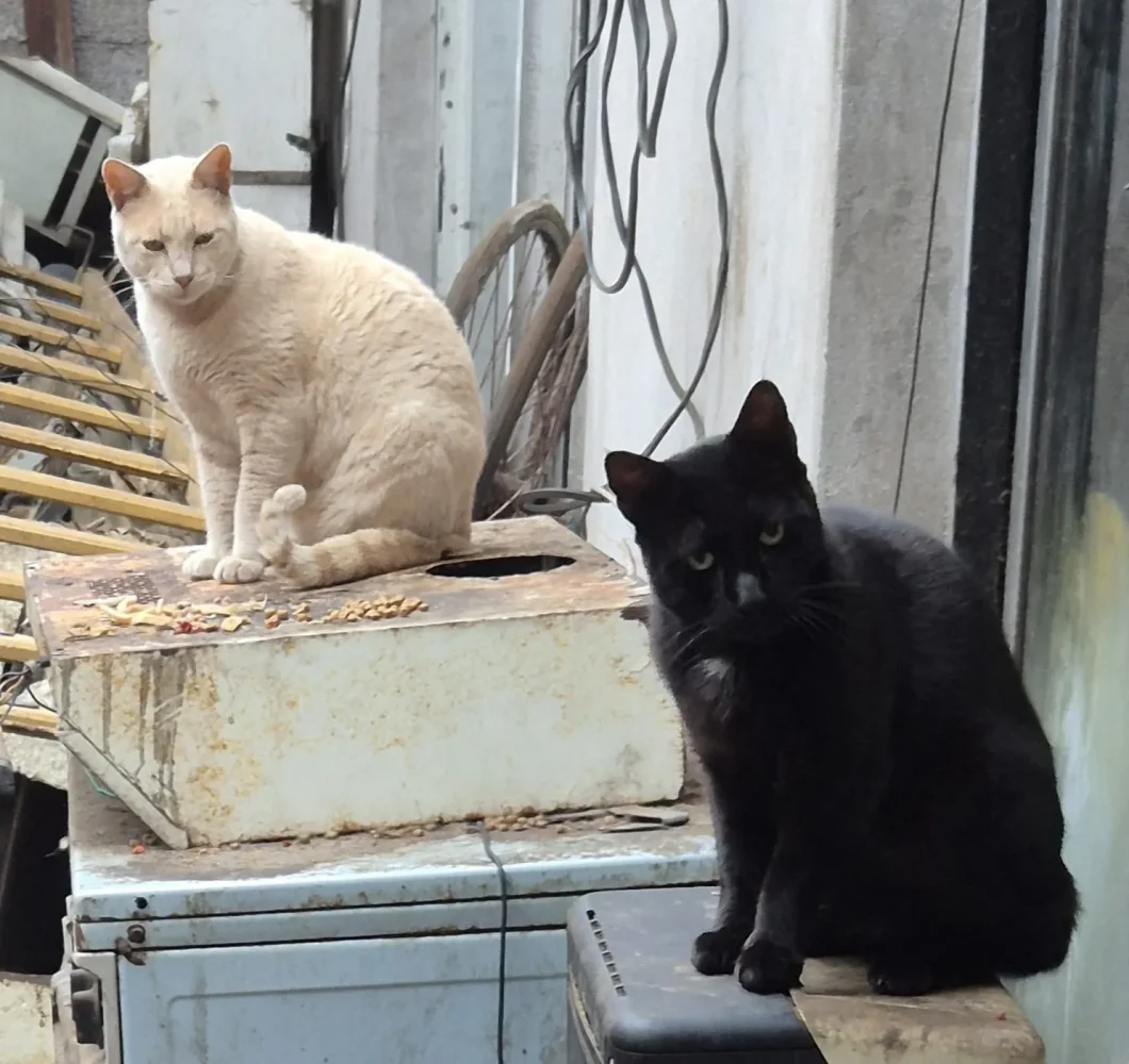 Gati2.jfif