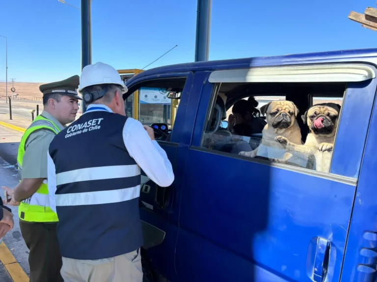 CORESET refuerza campaña preventiva para una Fiesta de San Lorenzo segura - CEI Noticias