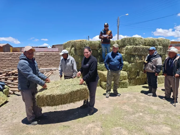 Indaptarapacá entregaalimentación animal ganaderos cancosa pica 1