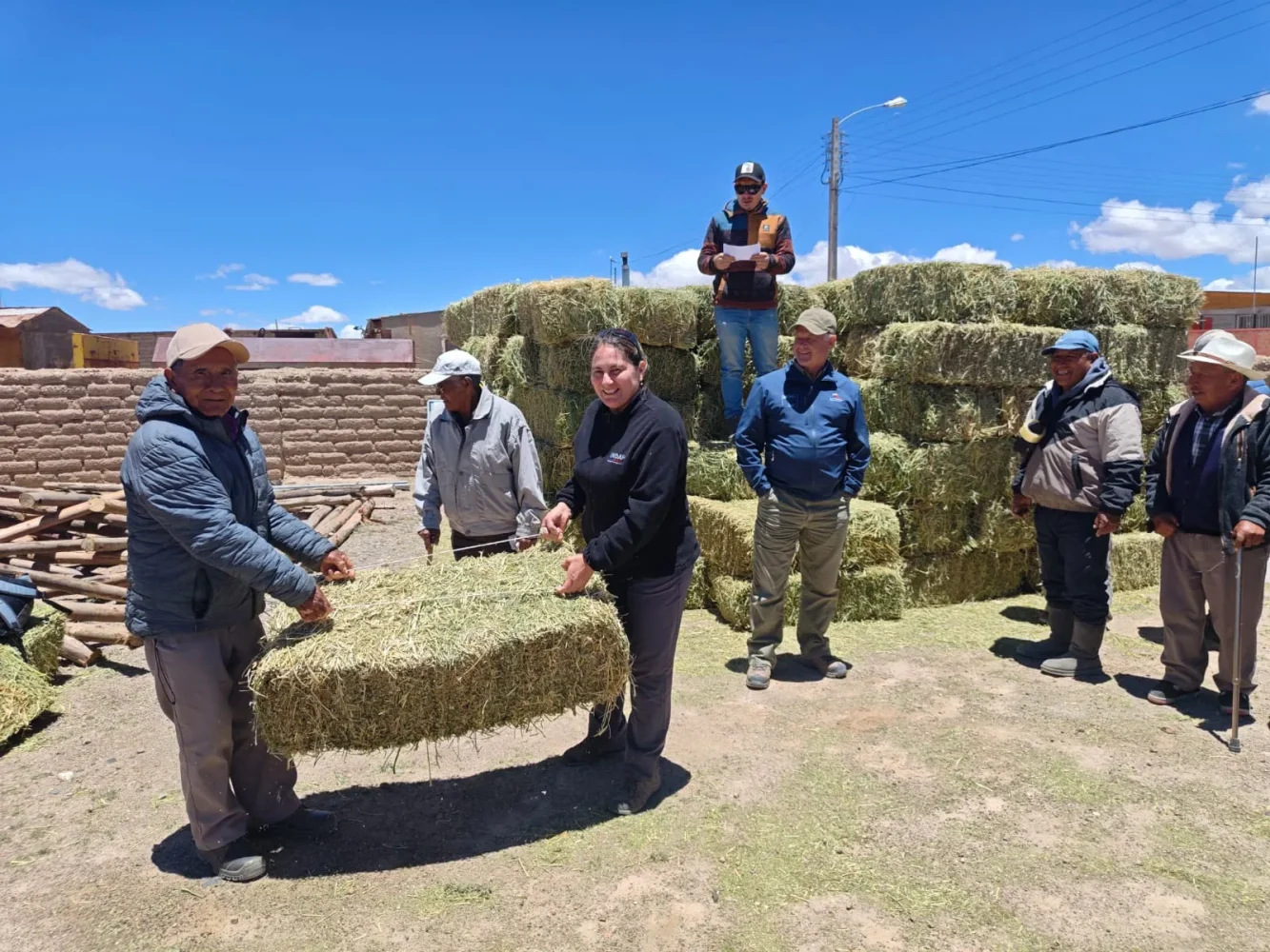 Indaptarapacá entregaalimentación animal ganaderos cancosa pica 1