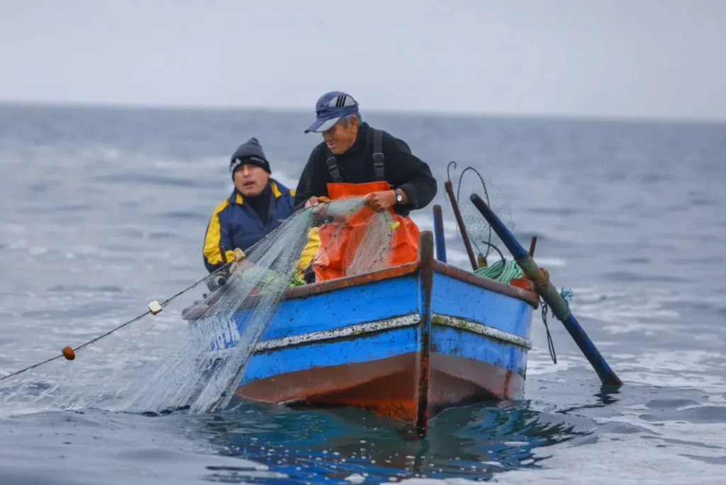 Pescadores artesanales 2