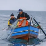 Pescadores artesanales 2
