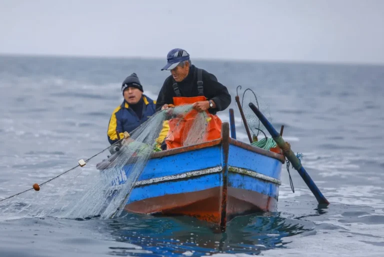 Pescadores artesanales 2